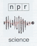 NPR