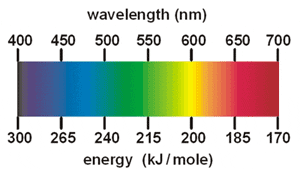 Spectrum