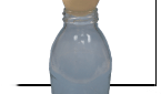 Egg in a Bottle