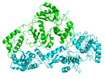 Transscriptase