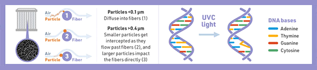 Air Purification - Compound Interest